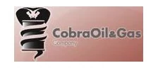 Cobra Oil & Gas