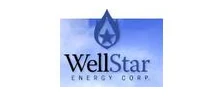 Wellstar Corporation