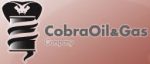 Cobra Oil & Gas