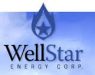 Wellstar Corporation